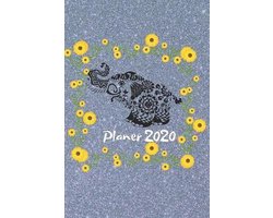 Planer 2020