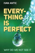 Everything is perfect: Why Do We Not See It