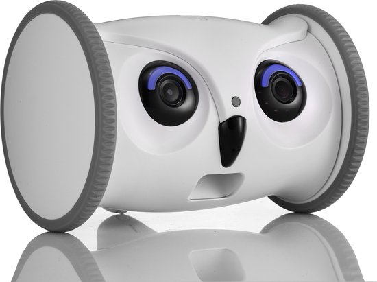 Skymee | Owl Robot voor Hond & Kat | Bestuurbaar en Rijdend Voerautomaat  |... | bol.com
