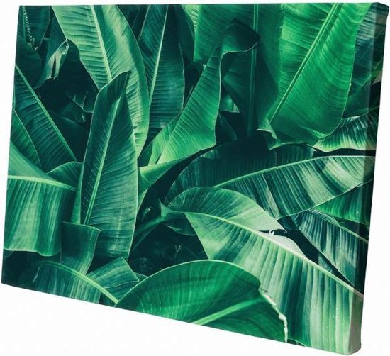 Bananenbladeren groen | 30  x 20 CM | Natuur | Schilderij | Canvasdoek | Schilderij op canvas