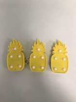 ananas met lampjes