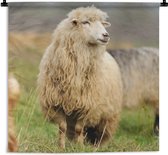 Wandkleed - Wanddoek - Schaap - Wol - Gras - 60x60 cm - Wandtapijt
