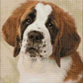 Crafting Spark / CS Hobby Diamond Painting St Bernard Pup 30 x40 Vierkante steentjes