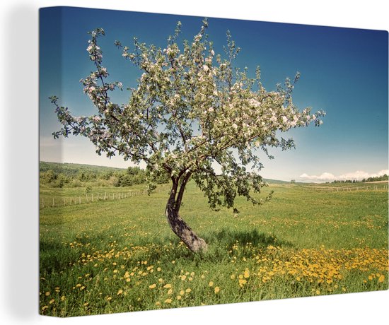 Canvas Schilderij Appelboom - Lente - Bloemen - Wanddecoratie