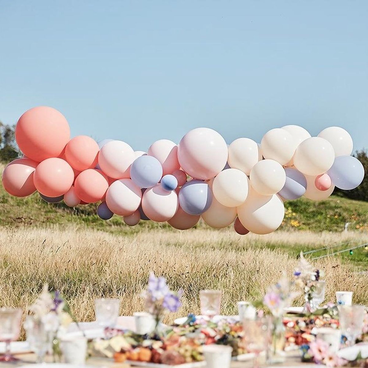 Ballonnenboog Kit Blush