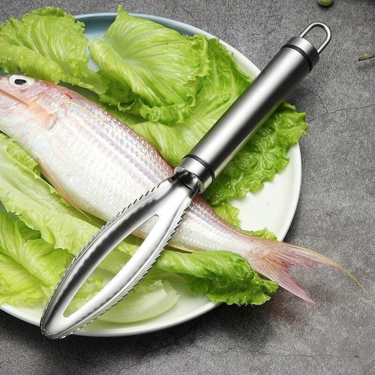 Hilewa Écailleur à poisson Grattoir à poisson en acier inoxydable