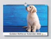 Golden Retriever kalender 2023 | 35x24 cm | jaarkalender 2023 | Wandkalender 2023