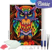 Pcasso® Uil artistiek - Diamond Painting - Incl. 4 Opzetstukjes En XXL Bakje - Diamond Painting Kinderen - Diamond Painting Dieren - Diamond painting volwassenen - 30x40 CM