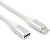 USB-C Verlengkabel - USB-C Kabel - Data en Laadkabel - Ondersteunt 4K-beelden - 1 Meter - Zilver