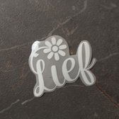 LIEF heat transfer reflective voor kleding | DIY custom je eigen trui | bloem | strijkapplicatie reflecterend sticker voor t-shirt, hoodie, romper baby, schoenen | zelf aanbrengen