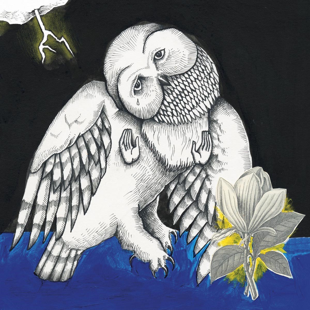 Songs: Ohia - Magnolia Electric Co. (2 LP) (Deluxe Edition)