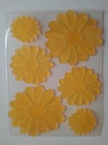 decoratie -  bescherming raam - 6 stuks - bloemen - geel