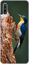 Geschikt voor Samsung Galaxy A70 hoesje - Close-up van een kleurrijke vogel op de zijkant van een boomstronk - Siliconen Telefoonhoesje