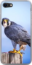 Geschikt voor iPhone 7 hoesje - Close-up van een roofvogel op een dikke houten paal - Siliconen Telefoonhoesje
