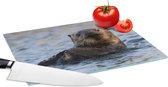Glazen Snijplank - 28x20 - Dieren - Otter - Zwemmen - Snijplanken Glas