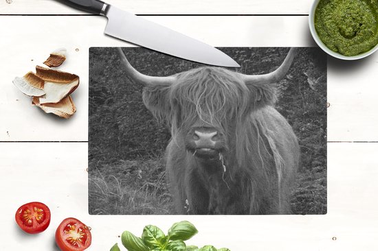 Planche à découper en Verres - Glas - Une vache Highlander écossaise en train de manger - noir et blanc - Planches à découper