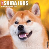 Shiba Inu Kalender 2022