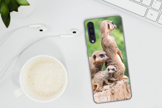 Telefoonhoesje Geschikt voor Samsung Galaxy A50 hoesje - Stokstaartjes - Boomstronk - Jong - Siliconen Telefoonhoesje Telefoonhoesje