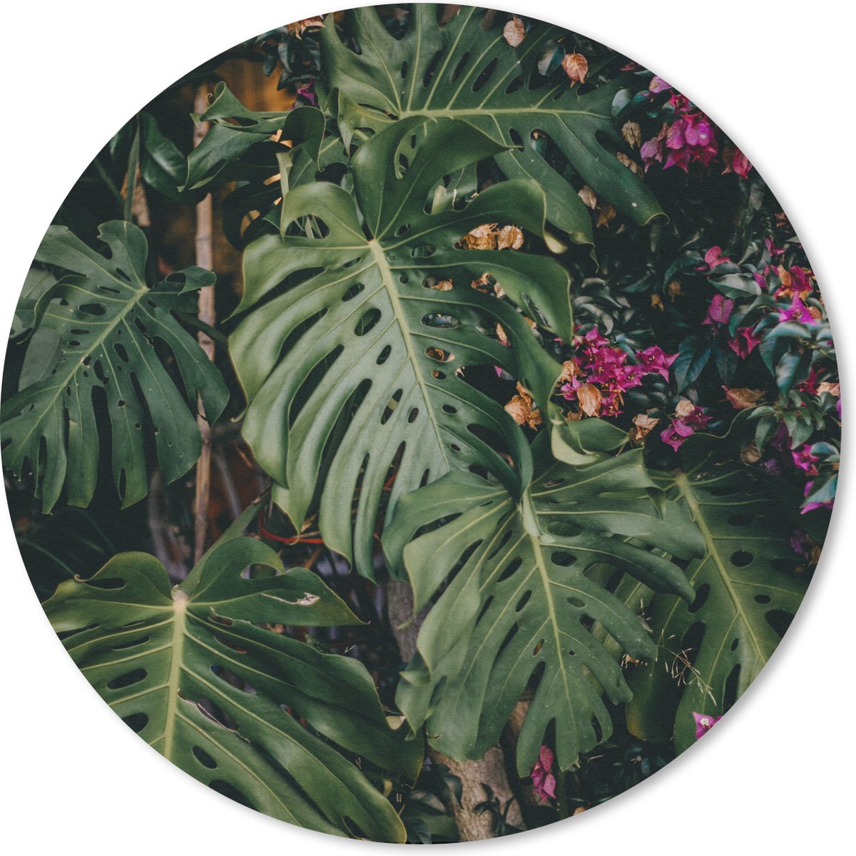 Muismat - Mousepad - Rond - Monstera (gatenplant) achtergrond - 50x50 cm - Ronde muismat
