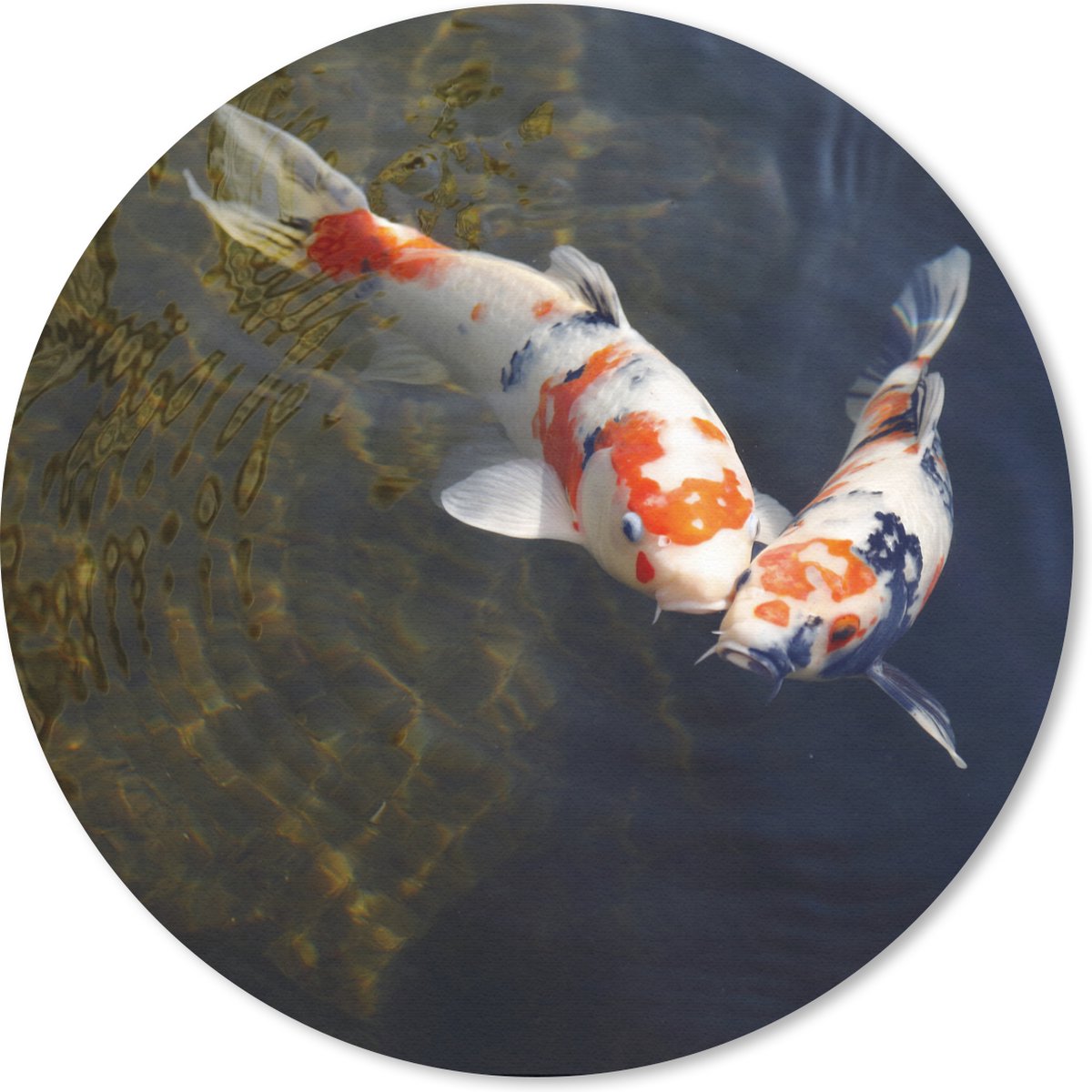 Muismat rond 30x30 cm - Mousepad Twee koi karpers in het water - Ronde muismatten