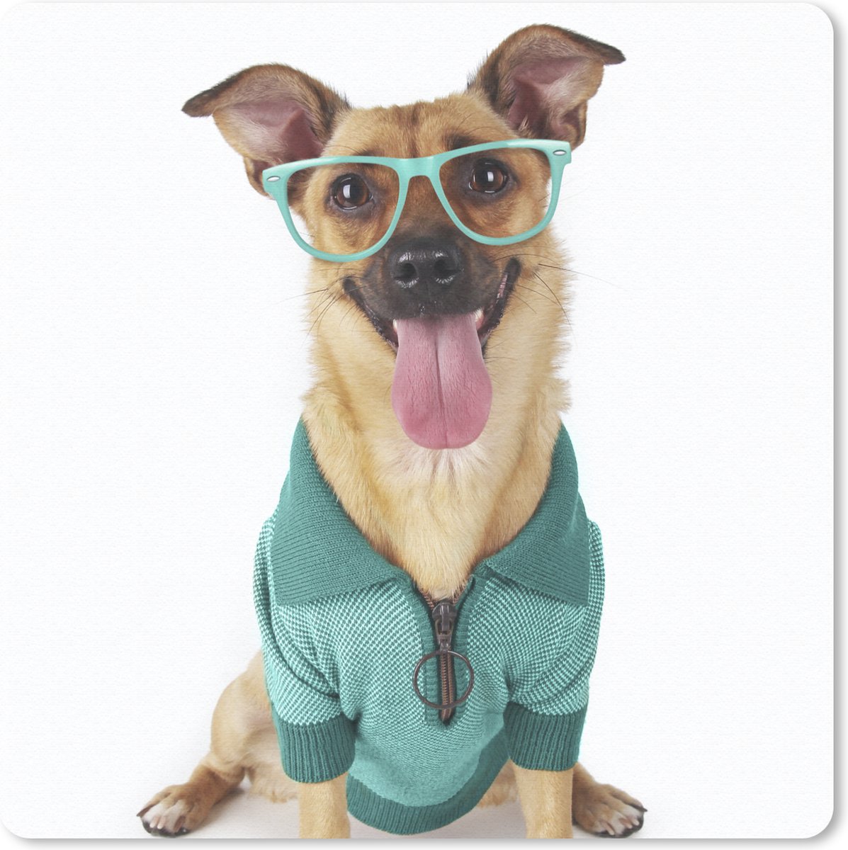 Muismat 20x20 cm - Mousepad Hond - Bril - Shirt - Hipster - Muismatten