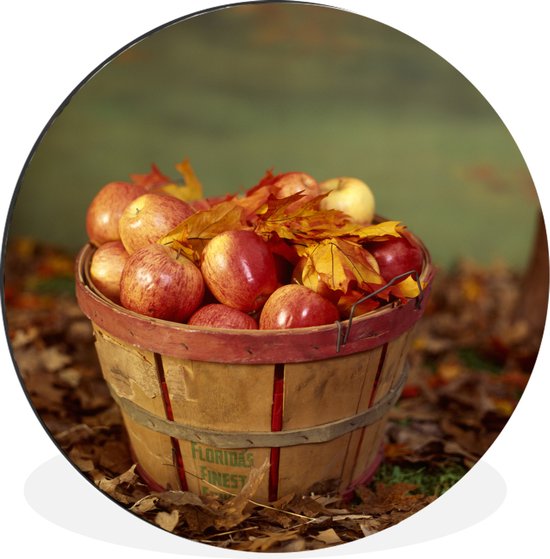 de elite kunstmest dynamisch WallCircle - Wandcirkel - Muurcirkel - Een mand van appels in de herfst -  Aluminium -... | bol.com
