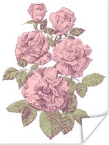 Affiche Vintage illustration de roses roses papier 60x80 cm - Tirage photo sur Poster (décoration murale salon / chambre) / Poster Fleurs