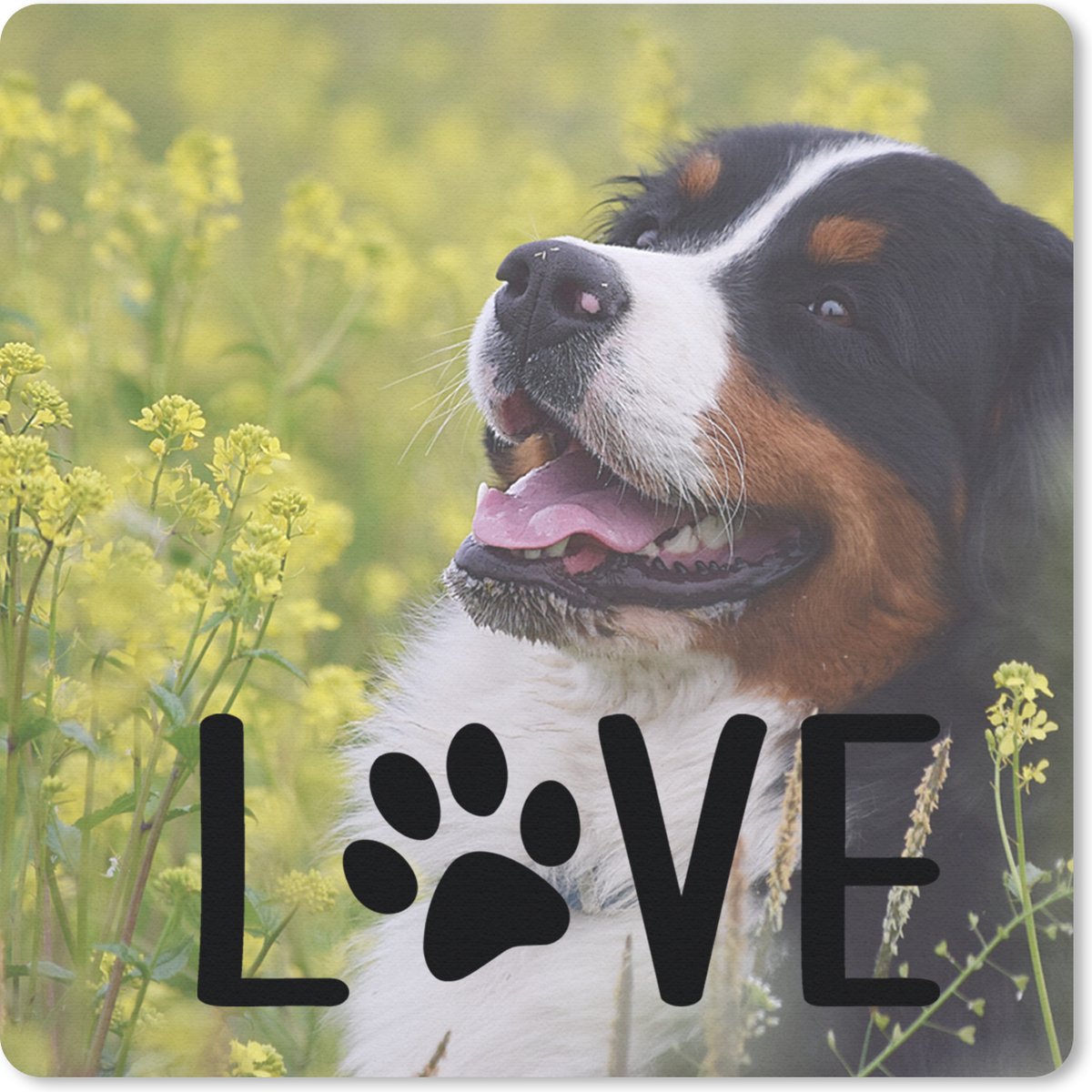 Muismat 30x30 cm - Mousepad Quotes - Spreuken - Hond - Love - Muismatten
