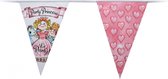 Vlaggenlijn Prinsessen 3,5 meter - roze - hartjes - vlaggenlijn verjaardag - verjaardag - feest vlaggen - vlaggen - slingers - prinses