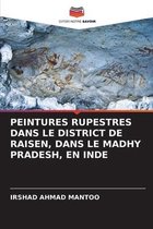 Peintures Rupestres Dans Le District de Raisen, Dans Le Madhy Pradesh, En Inde