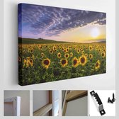Veld bij zonsopgang zonlicht, panoramisch zomer natuur bloesem beeld, locatie Provence, Frankrijk, Europa - Modern Art Canvas - Horizontaal - 1660119457