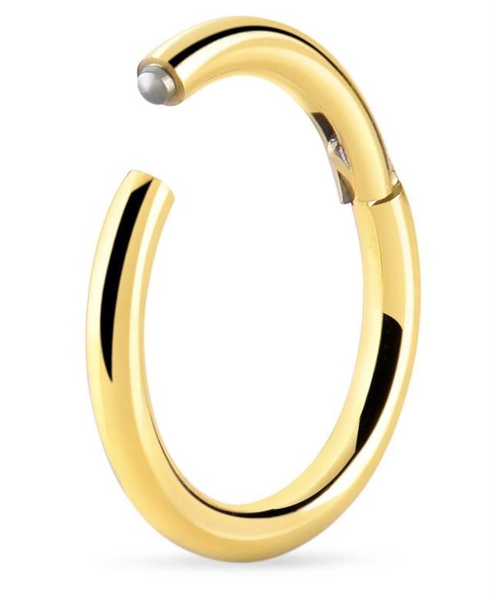 Goudkleurige Titanium Segment Ring 10 mm (1,2 mm dik) met Scharnier – RH-Jewelry [High Quality Piercing]