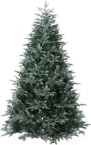 Kerstboom Blue pine 240cm