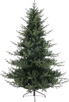 Kerstboom Dacula 210cm