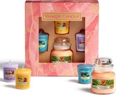 Yankee Candle The Last Paradise - Small Jar & Votives Giftset