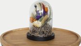 Droogbloemenboeket - Droogbloemen in glazen stolp 16cm - Sammy - Bloemen in glas - Decoratie