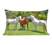 Sierkussen Paarden voor binnen - Drie paarden op een frisgroen grasveld - 60x40 cm - rechthoekig binnenkussen van katoen