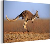 Photo d'action de kangourou Aluminium 180x120 cm - Tirage photo sur Aluminium (décoration murale métal) XXL / Groot format!