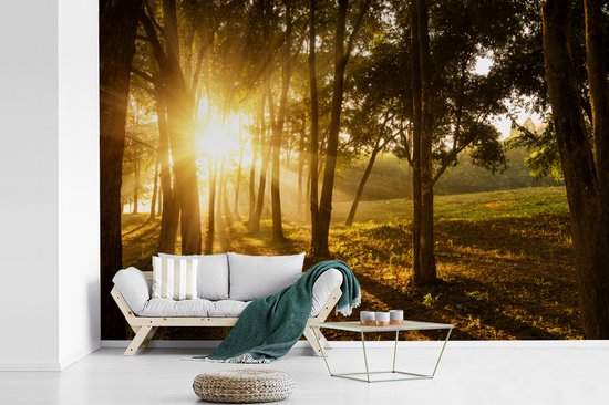 Papier peint photo vinyle - Le soleil d'automne se lève dans une forêt sombre largeur 330 cm x hauteur 220 cm - Tirage photo sur papier peint (disponible en 7 tailles)