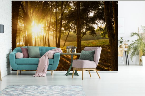 Papier peint photo vinyle - Le soleil d'automne se lève dans une forêt sombre largeur 330 cm x hauteur 220 cm - Tirage photo sur papier peint (disponible en 7 tailles)