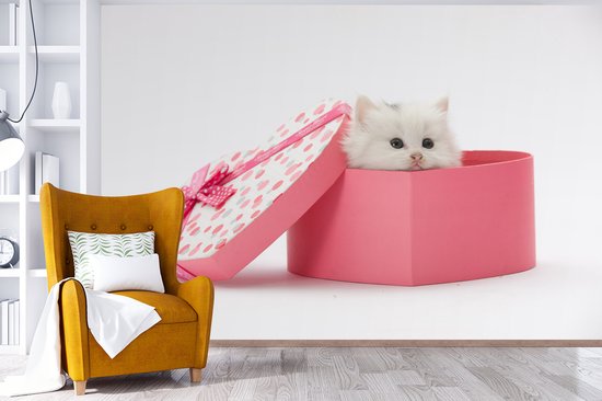 Papier peint photo vinyle - Un gros plan d'un chaton d'un présent largeur 450 cm x hauteur 300 cm - Tirage photo sur papier peint (disponible en 7 tailles)