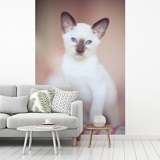 Behang - Fotobehang Witte Siamese kat op een tafelkleed - Breedte 180 cm x hoogte 280 cm