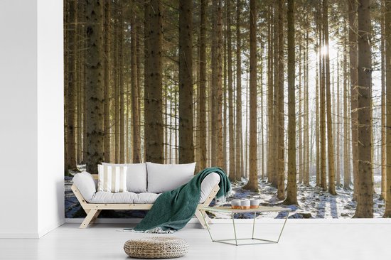 Papier fotobehang Une forêt avec des troncs d'arbres dans un paysage d'hiver