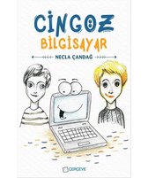 Cingöz Bilgisayar