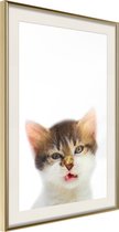 Poster Funny Kitten 30x45