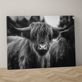 Schotse hooglander op canvas, 90x60cm in zwart wit inclusief ophangsysteem - Schotse hooglander schilderij - Schotse hooglander canvas - Schotse hooglander zwart wit - Zwart wit sc