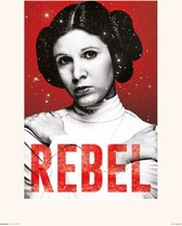 STAR WARS LEIA REBEL - Art Collector Print 30x40 cm