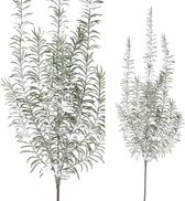 PTMD Leaves Plant Asparagus Kunsttak - 59 x 23 x 74 cm - Besneeuwd