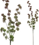 PTMD Succulent Mini Echeveria Kunstplant - 60 x 20 x 105 cm - Paars