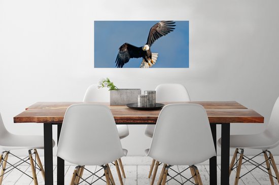 Poster 80x40 cm - Een Amerikaanse zeearend in een blauwe hemel - Posters - Kamer decoratie - Wanddecoratie woonkamer - Muurdecoratie slaapkamer